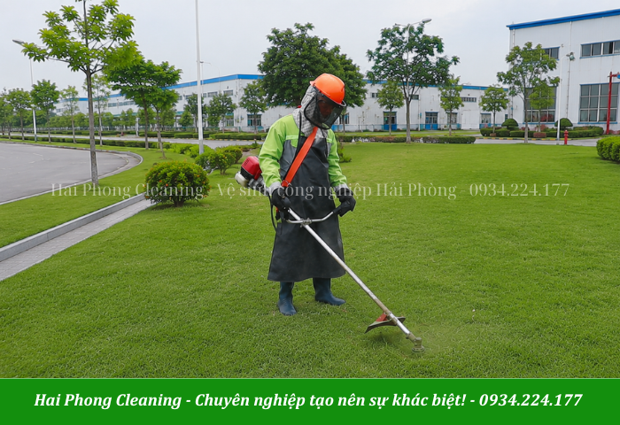 Nhân viên cắt cỏ được đào tạo bài bản