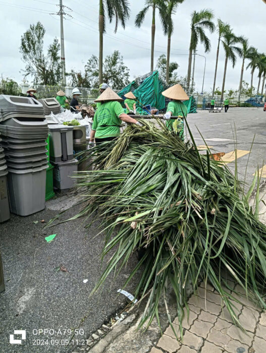 Cắt tỉa cây xanh tránh lá cây rụng gâp tắc nghẽn