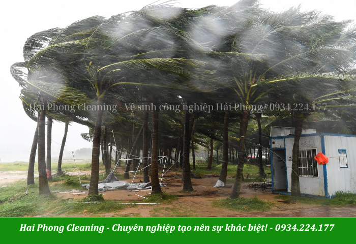 Thiệt hại do bão Ragasa tại Đảo Hải Nam