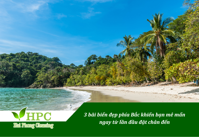 Những bãi biển đẹp trong mùa hè này